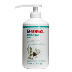 Foot Cream Mint w/Pump 500 ml (Please Call for Pricing)