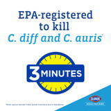 Clorox Healthcare Bleach Germicidal Surface Disinfectant Cleaner Trigger Spray Liquid 32 oz. Bottle Fruity Floral Bleach Scent NonSterile, 68970, Case of 6