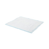 Disposable Underpad Prevail® Air Permeable 23 x 36 Inch Polymer Heavy Absorbency UP-048 Case of 48 UP-048 Prevail® Air Permeable 572737_CS