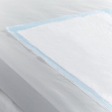 Simplicity Extra Disposable Underpad 30 X 30 Inch Fluff Moderate Absorbency, 949B10, Case of 10