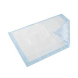 Underpad Wings Quilted 23 X 36 Inch Disposable Fluff Heavy Absorbency P2336C Case/72 P2336C KENDALL HEALTHCARE PROD INC. 813438_CS