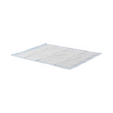 Underpad Wings Quilted 30 X 36 Inch Disposable Fluff Heavy Absorbency P3036PS Case/40 P3036PS KENDALL HEALTHCARE PROD INC. 1052239_CS
