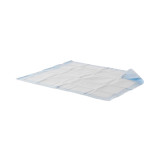 Underpad Wings Quilted 30 X 36 Inch Disposable Fluff Heavy Absorbency P3036PS BG/10 P3036PS KENDALL HEALTHCARE PROD INC. 1052239_BG Underpad Wings Quilted 30 X 36 Inch Disposable Fluff Heavy Absorbency P3036PS BG/10 P3036PS KENDALL HEALTHCARE PROD INC. 1052239_BG