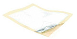 Underpad Wings Plus 30 X 30 Inch Disposable Fluff / Polymer Heavy Absorbency 9173 Bag/10 9173 KENDALL HEALTHCARE PROD INC. 854097_BG