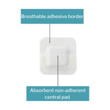 McKesson Island Dressing 2 X 2 Inch Square Sterile, 16-89022, Box of 25