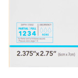Transparent Film Dressing with Border DermaView II Rectangle 2-3/8 X 2-3/4 Inch Frame Style Delivery With Label Sterile 00252E Each/1 00252E DERMARITE INDUSTRIES LLC 714363_EA