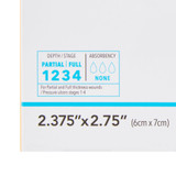 DermaView II Transparent Film Dressing 2-3/7 X 2-3/4 Inch Frame Style Delivery Rectangle Sterile, 00252E, Pack of 1