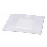 Adhesive Dressing Primapore 4 X 8 Inch Polyester Rectangle Tan Sterile 66000319 Case/200 66000319 UNITED / SMITH & NEPHEW 365460_CS