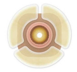 Skin Barrier Strip CeraPlus™ Moldable, Standard Wear Adhesive without Tape Hydrocolloid 1/2 Arch 79402 Box of 30 CeraPlus™ 1037566_BX