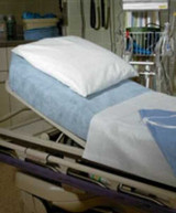 Stretcher Sheet Snug-Fit Fitted 40 X 89 Inch Blue Nonwoven Fabric Disposable 49896 Case/25 GRAHAM PROFESSIONAL MEDICAL 483444_CS