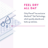 Prevail Daily Underwear Absorbent Underwear Pull On with Tear Away Seams Adult Small Female Disposable Heavy Absorbency, PWC-511, Case of 88