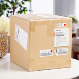 McKesson Perry Performance Plus Surgical Glove Size 8 Sterile Latex Standard Cuff Length Smooth Cream Chemo Tested, 20-1080N, Pair of 1