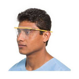 SafeView Replacement Lens SV250L Pack/25 5999-504 O&M Halyard Inc 547416_PK