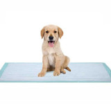 Underpad DUKAL 17 X 24 Inch Disposable Cellulose Light Absorbency 11724 Case/300 154601 Dukal 863238_CS Underpad DUKAL 17 X 24 Inch Disposable Cellulose Light Absorbency 11724 Case/300 154601 Dukal 863238_CS