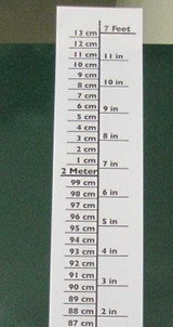 Pedia Pals Height Chart - Pack of 1 100104 Pedia PalsÂ® 799094_EA