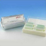 Cover Glass Square No. 1 Thickness 22 x 22 mm 1404-10 Box of 10 1404-10 Globe Scientific 774788_BX Cover Glass Square No. 1 Thickness 22 x 22 mm 1404-10 Box of 10 1404-10 Globe Scientific 774788_BX