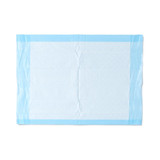 Protection Plus Disposable Underpad 17 X 24 Inch Fluff Light Absorbency, MSC281230, Case of 300