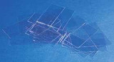 Cover Glass Square No. 1.5 Thickness 22 x 22 mm 22X22-1.5-001G Ounce/1 22X22-1.5-001G Erie Scientific 56286_OZ
