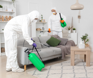 2026’s Best Disinfectants for Home and Healthcare Settings