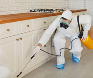 The Importance of Proper Disinfection in Homes and Clinics
