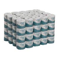 Premium Toilet Tissue White 2-Ply Standard Size Cored Roll 450 Sheets 4 X 4.05 Inch 16880 Case/80 16880 GEORGIA PACIFIC FT JAMES DIV 766712_CS