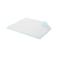 Low Air Loss Underpad Prevail Air Permeable 23 X 35 Inch Disposable Polymer Heavy Absorbency UP-072 Case/6 UP-072 FIRST QUALITY PRODUCTS INC. 461832_CS