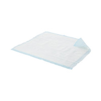 Disposable Underpad Prevail® Air Permeable 23 x 36 Inch Polymer Heavy Absorbency UP-048 Case of 48 UP-048 Prevail® Air Permeable 572737_CS