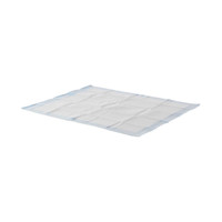 Underpad Wings Quilted 30 X 36 Inch Disposable Fluff Heavy Absorbency P3036C BG/10 P3036C KENDALL HEALTHCARE PROD INC. 772827_BG