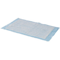 Disposable Underpad Simplicity™ Basic 23 x 24 Inch Fluff Light Absorbency 7136 Bag of 10 7136 Simplicity™ Basic 550092_BG