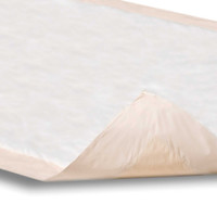 Underpad Dri-Sorb Plus 30 X 30 Inch Disposable Polymer / Cellulose Fiber Moderate Absorbency UFP-300 Case/150 UFP-300 ATTENDS HEALTHCARE PRODUCTS 953632_CS