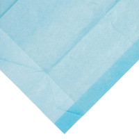Underpad Chux 17 X 24 Inch Disposable Fluff Light Absorbency 1340 BG/100 1340 DYNAREX CORP. 793874_BG