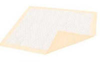 Underpad Dignity Ultrashield Plus 30 X 36 Inch Disposable Fluff Moderate Absorbency 333607 Case/100 333607 HARTMAN USA, INC. 987179_CS