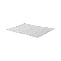 Underpad Wings Quilted 30 X 36 Inch Disposable Fluff Heavy Absorbency P3036PS BG/10 P3036PS KENDALL HEALTHCARE PROD INC. 1052239_BG