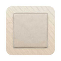 Foam Dressing with Silver Mepilex Border Ag 6 X 6 Inch Square Sterile 395490 Each/1 395490 MOLNLYCKE HEALTH CARE US LLC 738643_EA