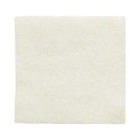 Calcium Alginate Dressing with Silver Melgisorb Ag 2 X 2 Inch Square Sterile 255050 Case/100 255050 MOLNLYCKE HEALTH CARE US LLC 863096_CS