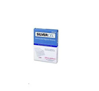 Alginate Dressing with Silver Silvercel 2 X 2 Inch Square Sterile 800202 Each/1 800202 SYSTAGENIX WOUND MANAGEMENT 702428_EA