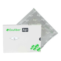 DRSG GEL EXUFIBER AG 2X2 10/BX 4BX/CS MOLYCK 603421 Case/40 MOLNLYCKE HEALTH CARE US LLC 1052339_CS