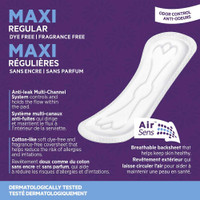 Feminine Pad Incognito Maxi Regular Absorbency 10003896 Case/288 RE4H01-40 First Quality 1146045_CS