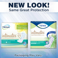 Bladder Control Pad TENA Intimates Moderate 11 Inch Length Moderate Absorbency Dry-Fast Core One Size Fits Most Adult Female Disposable 54284 Bag/20 22025 Essity HMS North America Inc 1121151_BG