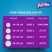 Female Toddler Training Pants Pull-Ups Learning Designs for Girls Size 4T to 5T Disposable Moderate Absorbency 51357 Pack/17 635-06-GCP Kimberly Clark 1160321_PK