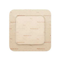Foam Dressing Mepilex Border Flex 4 X 4 Inch Square Adhesive with Border Sterile 595300 Case/50 53431 Molnlycke 1114380_CS