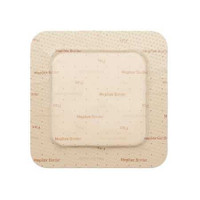 Foam Dressing Mepilex Border Flex 4 X 4 Inch Square Adhesive with Border Sterile 595300 Case/50 53431 Molnlycke 1114380_CS