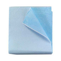 Stretcher Sheet Tidi Everyday Flat 40 X 60 Inch Blue Tissue / Polyethylene Film Disposable 980926 Case/100 31-200 Tidi Products 863085_CS