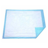 Underpad DUKAL 17 X 24 Inch Disposable Cellulose Light Absorbency 11724 Case/300 154601 Dukal 863238_CS
