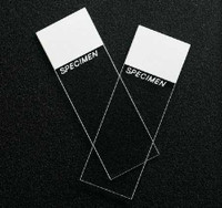 Microscope Slide SPSuperfrost25 X 75 X 1 mm Frosted End 4951F-001T Case/1440 305900 Erie Scientific 556274_CS