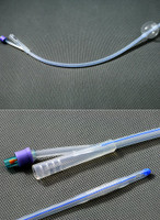 Foley Catheter AMSure® 2-Way Standard Tip 30 cc Balloon 22 Fr. Silicone AS42022S Each/1