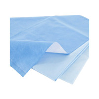 QUICK CHECK* H300 Sterilization Wrap White / Blue 45 x 45 Inch Dual Layer SMS Polypropylene Steam / EO Gas / Hydrogen Peroxide 34159 Case of 48 34159 QUICK CHECK* H300 809417_CS
