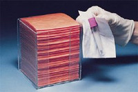 Biohazard Wipe BloodBloc™ Standard Absorbency White / Orange NonSterile Cellulose / Polyethylene 4 X 4 Inch Disposable 0667035 Case/2000