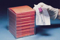 Biohazard Wipe BloodBloc™ Standard Absorbency White / Orange NonSterile Cellulose / Polyethylene 3 x 3 Inch Disposable 066701 Pack of 250 066701 BloodBloc™ 293417_PK