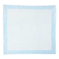 Disposable Underpad Protection Plus® 23 x 24 Inch Fluff Light Absorbency MSC281225 Case of 200 MSC281225 Protection Plus® 560976_CS